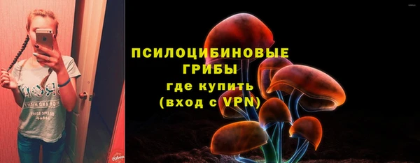 мет Козловка