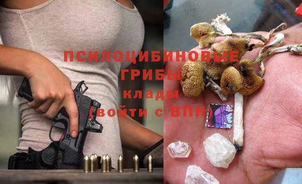 Альфа ПВП Корсаков