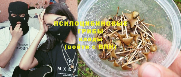 Альфа ПВП Корсаков