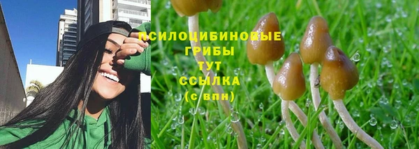 spice Костерёво