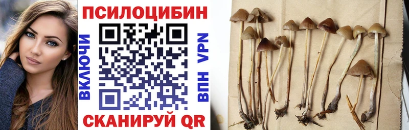 купить наркотики цена  Руза  Псилоцибиновые грибы ЛСД 